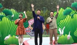 顶呱呱最新爆料新闻视频,最新爆料新闻视频深度解析