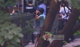 对峙2最新爆料刀,刀锋对决，神秘爆料揭示全新战术与角色