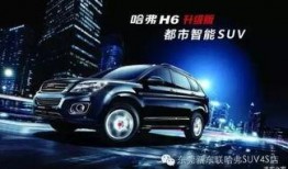 哈佛最新爆料新闻报道,揭秘学术界的惊人内幕