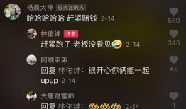 杨晨大神爆料最新视频,行业动态与未来趋势深度解析