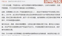 河南频道爆料新闻最新视频,揭秘神秘事件背后的真相