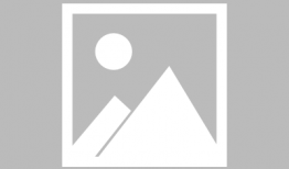 重庆何小姐最新爆料,揭秘事件背后惊人真相