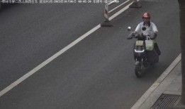 电瓶车事件最新爆料,细节曝光，真相逐渐浮出水面