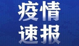 开封肺炎最新爆料,揭秘病毒变异与防控策略