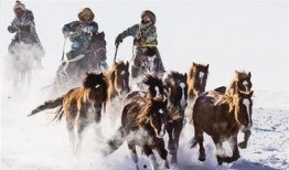 飞马最新爆料新闻,揭秘娱乐圈惊天大事件！