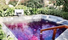 椿林最新爆料,揭秘娱乐圈惊天秘密！