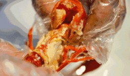 爬蚱市场价最新爆料,爬蚱市场价波动，揭秘热门品种价格走势